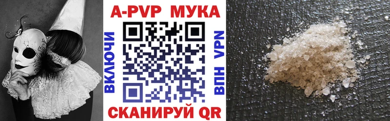 где найти   Трубчевск  MEGA сайт  Альфа ПВП СК 