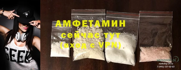 индика Балабаново
