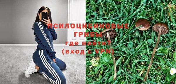 индика Балабаново
