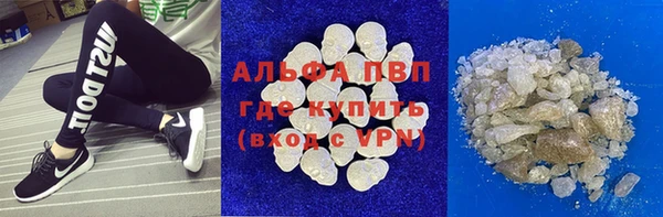 индика Балабаново